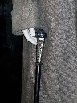 Horvath's Cane