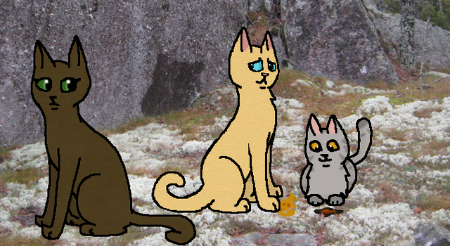 Tiedosto:Kossvk.png