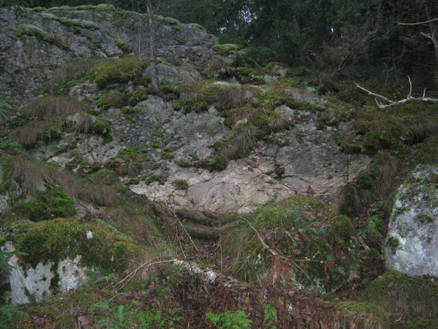 Tiedosto:Img 2844.jpg