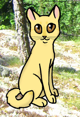 Tiedosto:Kultakuono.png