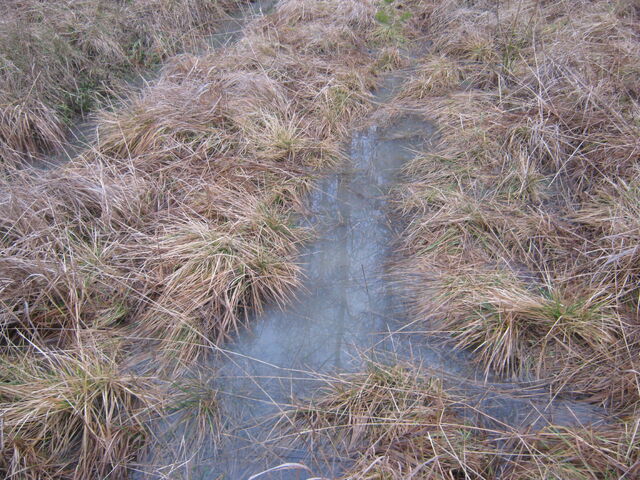 Tiedosto:Img 2790.jpg