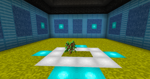 Grapes Sapling