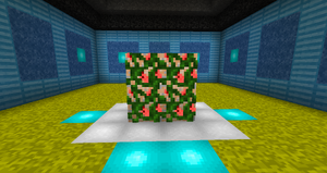 Raspberry Vine