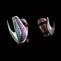 BladedArmlets-0