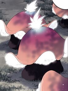 IsoleiMush