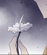 HolniFlower