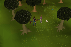 Seer's Village Magic Spot