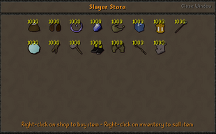 Slayer store