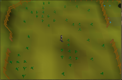 Flax2