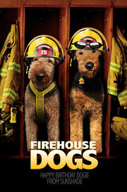 Poster2