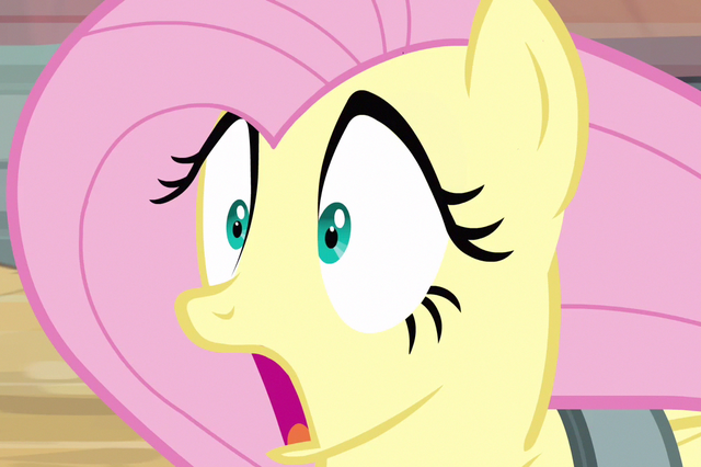 File:Fluttershy carraige.png