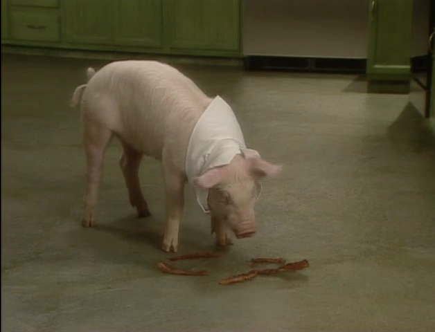 File:Bakin Bacon w Macon 5.png
