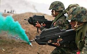 300px-Peruvian naval infantrymen carrying F2000 rifles