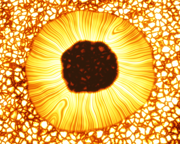 Datei:Proxima Centauri Sonnenfleck.png