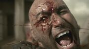 SpartacusGx05 0798.jpg