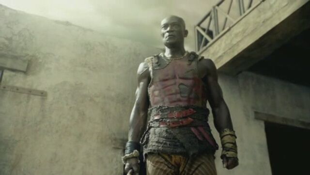 File:Oenomaus-doctore.jpg