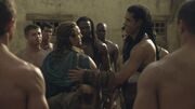 SpartacusGx06 1497.jpg
