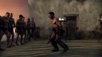 Crixus & Rebels
