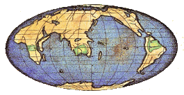 Tropical Forest map
