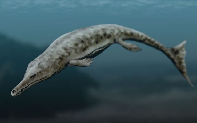 File:Neptunidraco.jpg