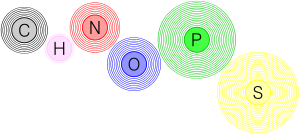 File:CHNOPS.png