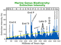 Extinction intensity