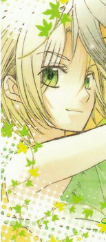 Special A finn