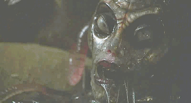 File:4005.gif