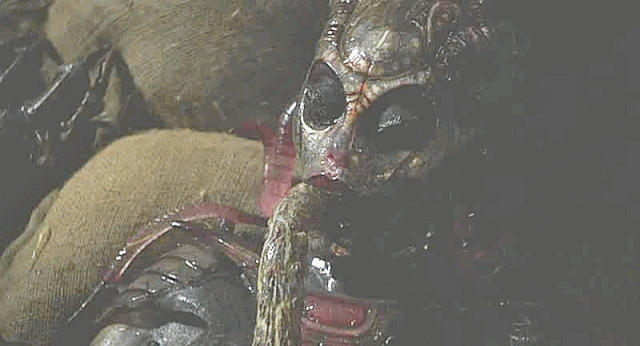 File:4003.gif