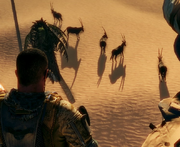 Oryx