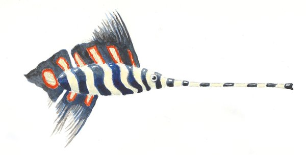 Trombone fish by sphenacodon