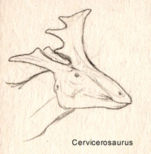Cerviceros-0