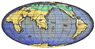 Coniferous map