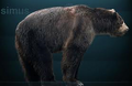 Thumbnail for version as of 11:18, November 16, 2013