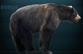 File:Arctodus.png