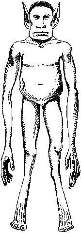 File:Young ,male.gif