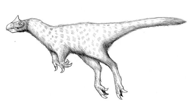 File:Gamsgan.jpg