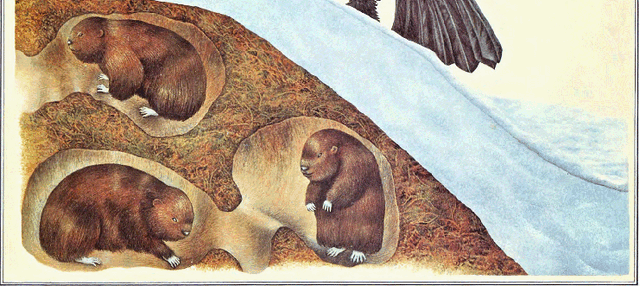 File:Meachings.gif