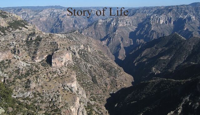 File:Story of Life.jpg