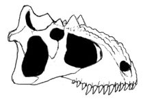 File:Bbskull2.jpg