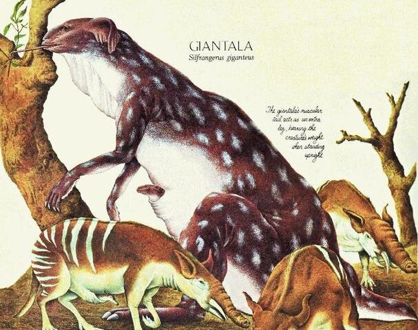 File:After Man - Giantala.jpg