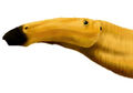 Thumbnail for version as of 03:08, August 21, 2010