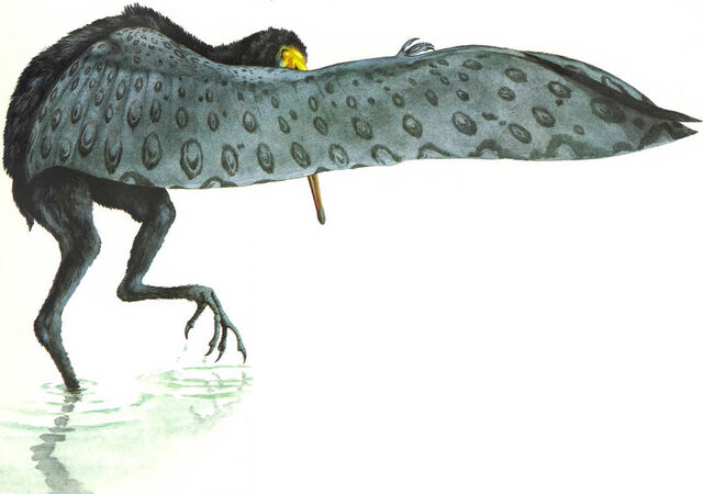 File:Paraso.jpg