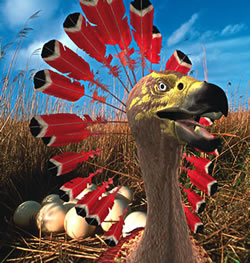Carakiller plumage