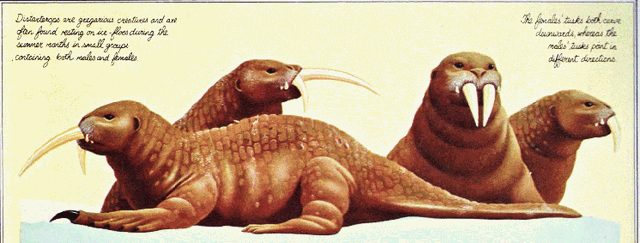 File:Distarterops group.gif