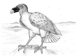 Aquimari