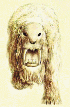 Female bardelot front