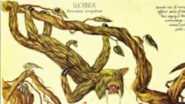 File:Slobber.jpg