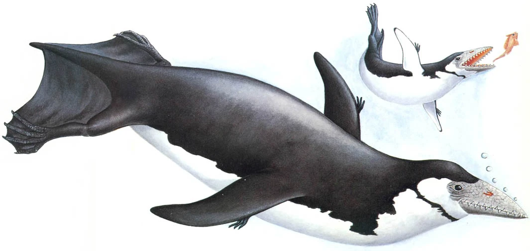 Plunger | Speculative Evolution Wiki | FANDOM powered by Wikia