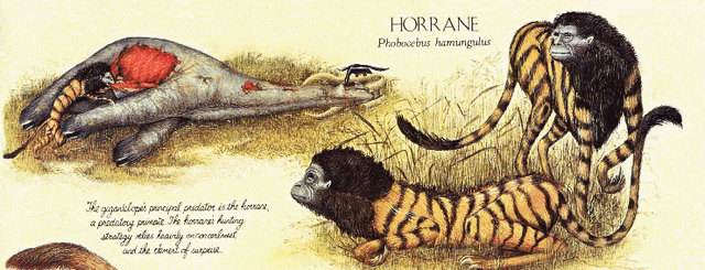 File:Horrane.gif